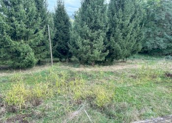 il prato - Casa indipendente strada della Galla
 
12, Mondovì - foto 16