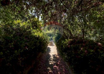 Giardino - Casa indipendente Castelvetrano - foto 45