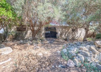 Giardino - Rustico cava ispica ciancia
 
snc, Modica - foto 20