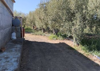 Foto 1 - Agricultural land Ramacca - photo 1