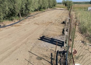 Foto 4 - Agricultural land Ramacca - photo 4