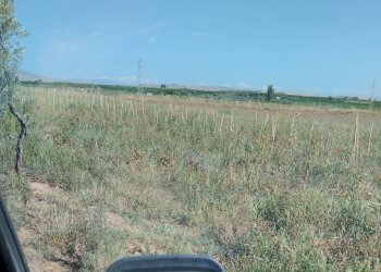 Foto 6 - Agricultural land Ramacca - photo 6