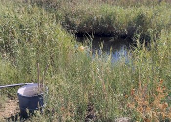 Foto 7 - Agricultural land Ramacca - photo 7