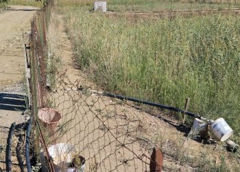 Foto 8 - Agricultural land Ramacca - photo 8