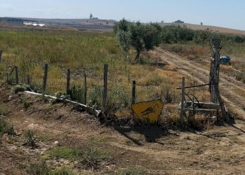 Foto 10 - Agricultural land Ramacca - photo 10