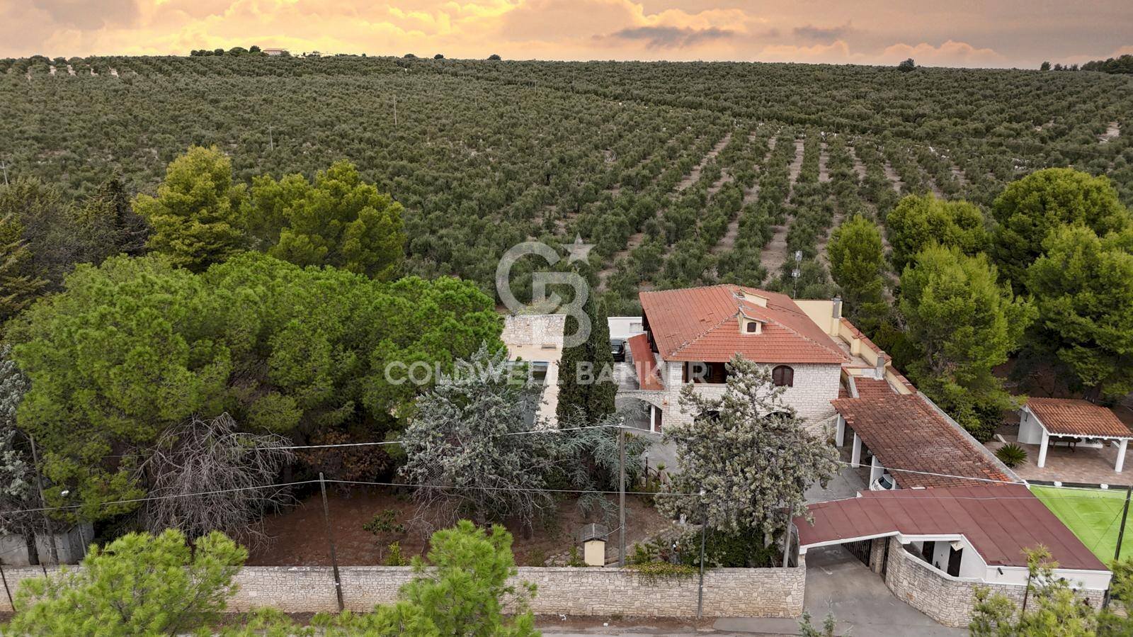 Foto 3 - Villa Contrada Abbondanza - Viale Delle Mimose
SN, Andria - photo 3