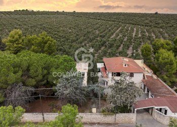 Foto 3 - Villa Contrada Abbondanza - Viale Delle Mimose
 
SN, Andria - foto 3