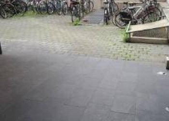 Cortile interno - Monolocale via Aurelio Saffi, Bologna (zona Saffi) - foto 24