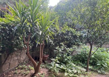 Terreno - Bilocale viale Cortina d'Ampezzo, 164, Roma - foto 17