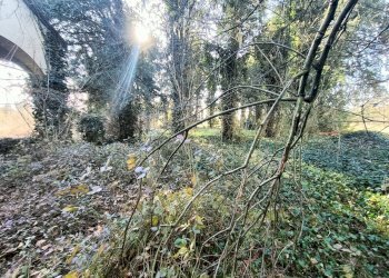 Foto 19 - Stabile - Palazzo via provanone
 
1873, Crevalcore - foto 19