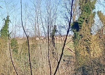 Foto 26 - Stabile - Palazzo via provanone
 
1873, Crevalcore - foto 26