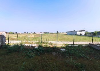 Giardino - Trilocale Cascina Frattone, Carmagnola - foto 7