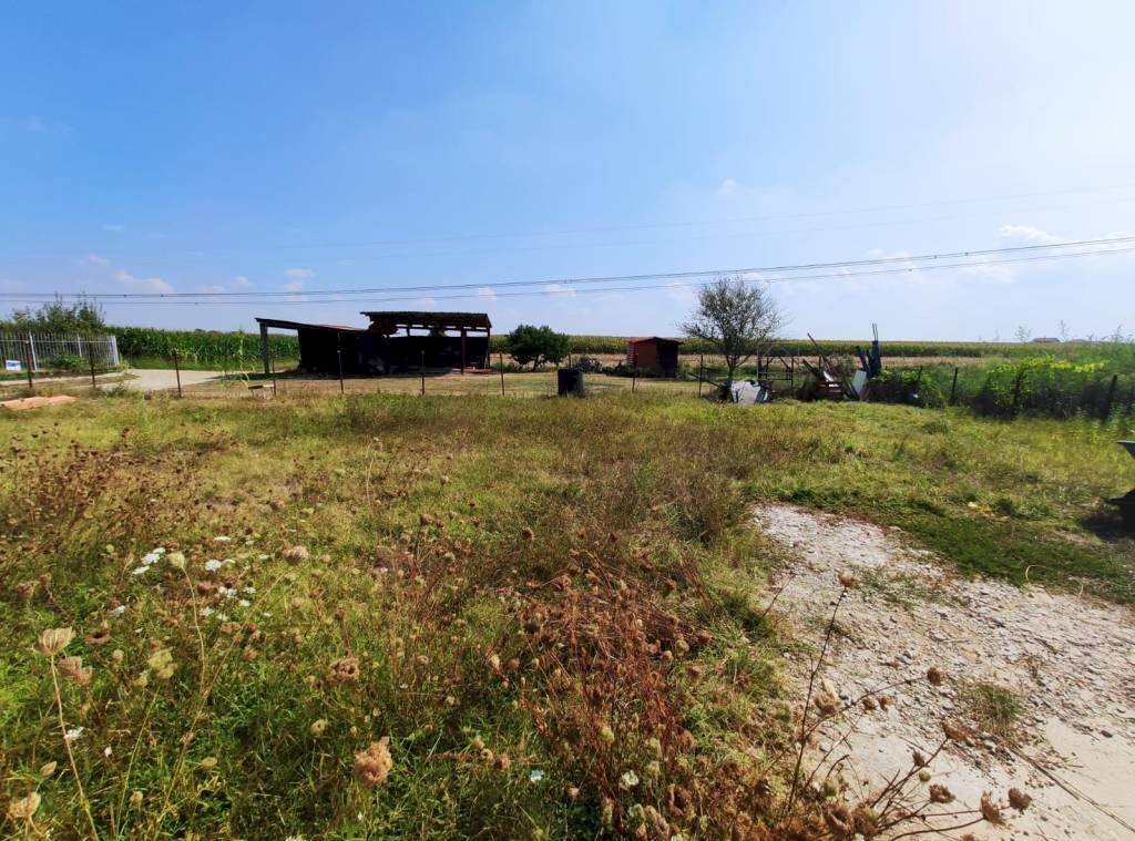 Terreno - Appartamento Cascina Frattone, Carmagnola - foto 2