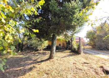 Giardino - Rustic hamlet Madonna Delle Grazie, Cuneo - photo 7