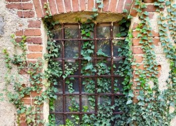 Dettagli - Rustic hamlet Madonna Delle Grazie, Cuneo - photo 9