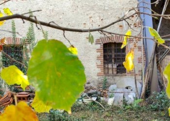 Giardino - Rustic hamlet Madonna Delle Grazie, Cuneo - photo 10
