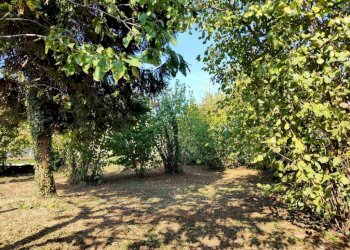 Giardino - Rustic hamlet Madonna Delle Grazie, Cuneo - photo 38