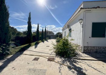 Giardino - Villa via delle Ginestre, Anzio - foto 45