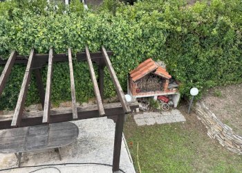 Giardino - Villa via delle Ginestre, Anzio - photo 48