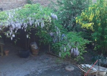 Giardino - Rustic via Camillo Benso di Cavour, 29, Castellinaldo d'Alba - photo 29