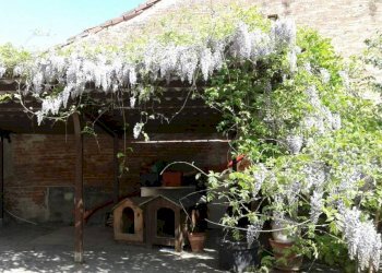 Giardino - Rustic via Camillo Benso di Cavour, 29, Castellinaldo d'Alba - photo 33