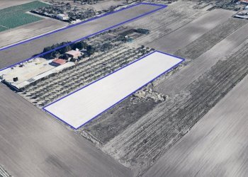 Terreno agricolo Foggia - foto 1