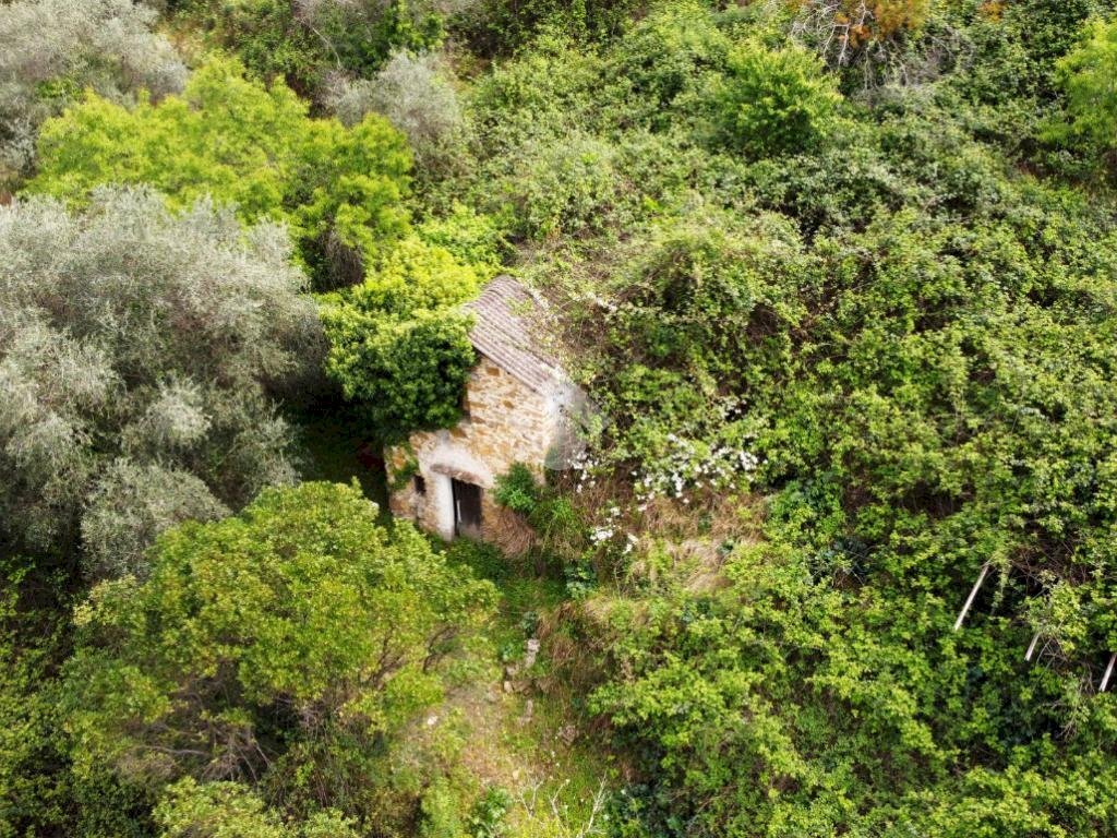 Rustic Strada Ciaudauda, Vallebona - photo 2
