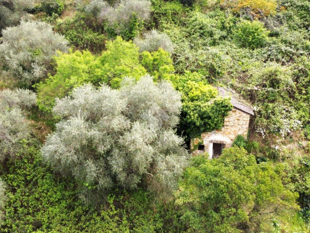 Rustic Strada Ciaudauda, Vallebona - photo 3