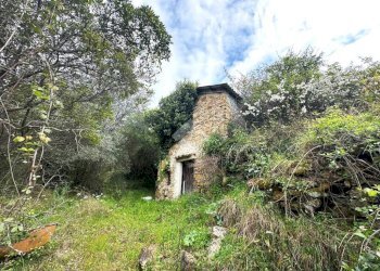 Rustico Strada Ciaudauda, Vallebona - foto 1