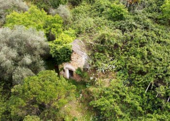 Rustico Strada Ciaudauda, Vallebona - foto 2