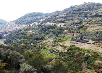 Rustico Strada Ciaudauda, Vallebona - foto 5