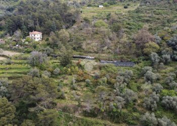 Rustico Strada Ciaudauda, Vallebona - foto 6