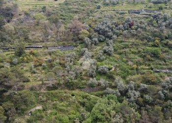 Rustico Strada Ciaudauda, Vallebona - foto 7