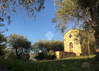 Rustic Strada Ciaudauda, Vallebona - photo 8
