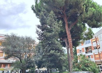 Trilocale Savona (zona La Rusca) - foto 24