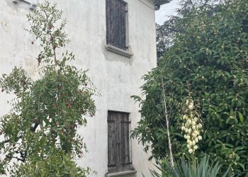 Foto 2 - Villa Ponzano Veneto - foto 2