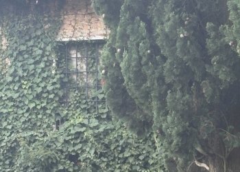 Foto 4 - Villa Ponzano Veneto - foto 4