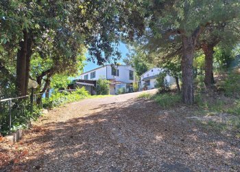 Foto 7 - Rustico C.da San Giovanni
 
snc, Colonnella - foto 7