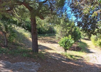 Foto 46 - Rustico C.da San Giovanni
 
snc, Colonnella - foto 46