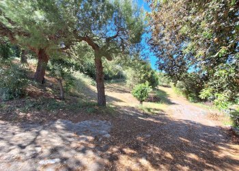 Foto 47 - Rustico C.da San Giovanni
 
snc, Colonnella - foto 47