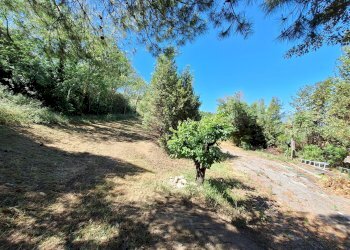 Foto 48 - Rustico C.da San Giovanni
 
snc, Colonnella - foto 48