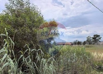 Giardino - Agricultural land Via del Camedrio
 
28, Catania - photo 1