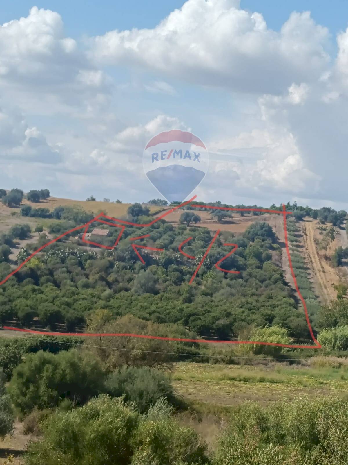 Vista delle montagne - Terreno agricolo Contrada Ramione
 
snc, Caltagirone - foto 1