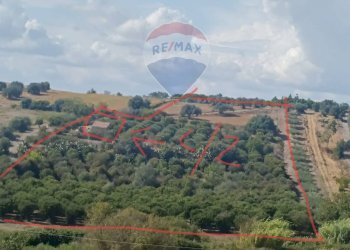 Vista delle montagne - Terreno agricolo Contrada Ramione
 
snc, Caltagirone - foto 1