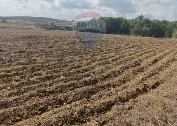 Vista delle montagne - Terreno agricolo Contrada Ramione
 
snc, Caltagirone - foto 8