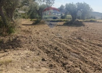 Non correlato - Terreno agricolo Contrada Ramione
 
snc, Caltagirone - foto 9