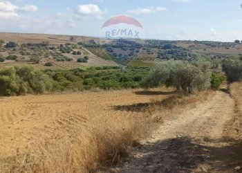 Vista delle montagne - Terreno agricolo Contrada Ramione
 
snc, Caltagirone - foto 10