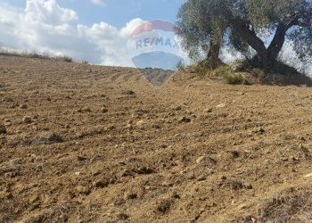 Vista delle montagne - Terreno agricolo Contrada Ramione
 
snc, Caltagirone - foto 11