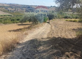 Vista delle montagne - Terreno agricolo Contrada Ramione
 
snc, Caltagirone - foto 13