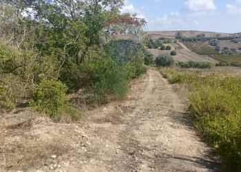 Vista delle montagne - Terreno agricolo Contrada Ramione
 
snc, Caltagirone - foto 14